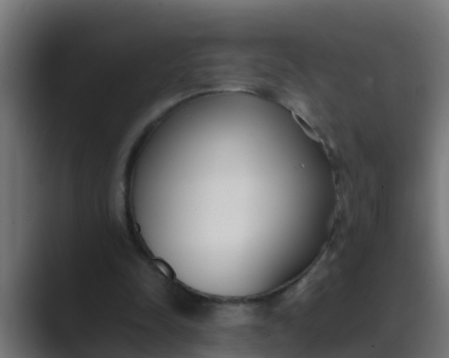 X0000089460342200706291505