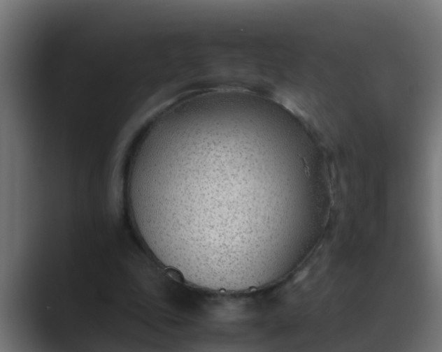 X0000089460343200706291505