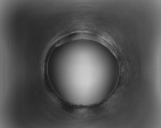 X0000089460344200706291505