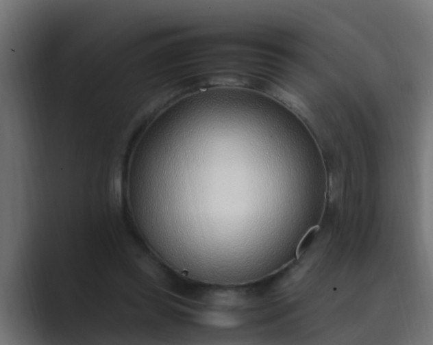 X0000089460349200706291505