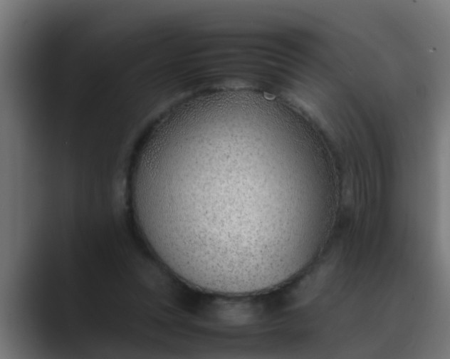 X0000089460351200706291505