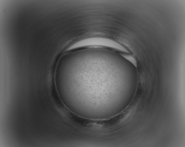 X0000089460352200706291505