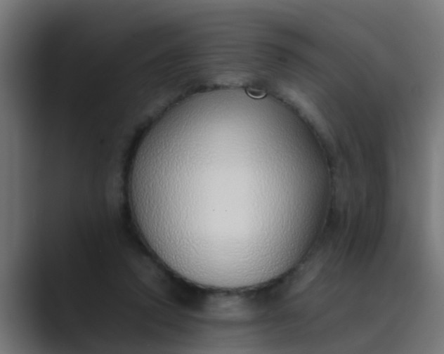 X0000089460354200706291505