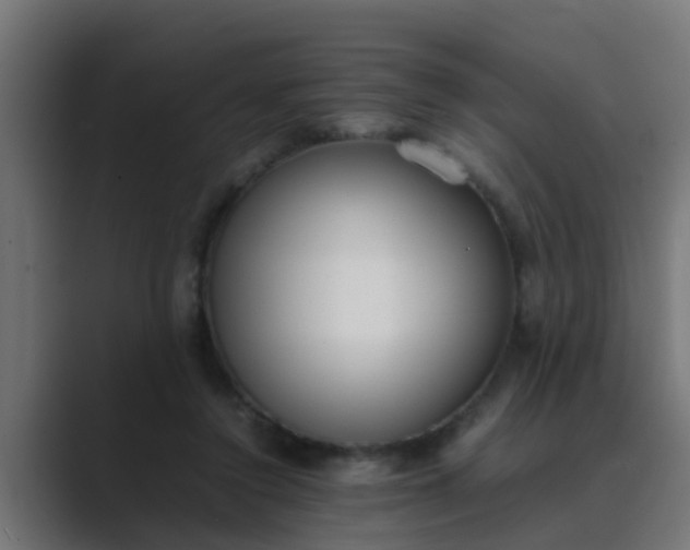 X0000089460356200706291505