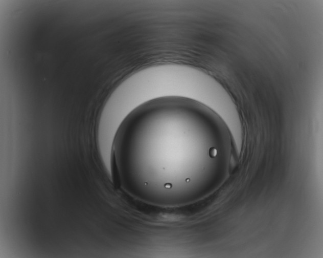 X0000089460360200706291505