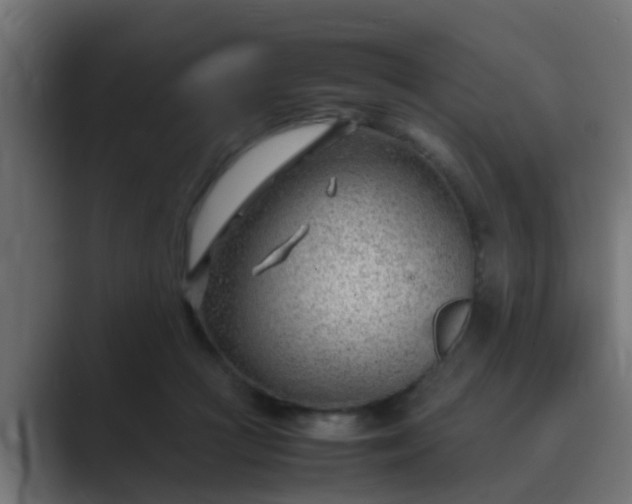 X0000089460361200706291505