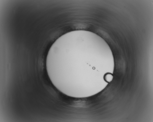 X0000089460362200706291505