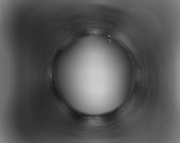 X0000089460363200706291505