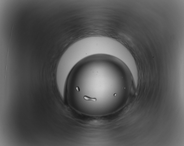 X0000089460364200706291505