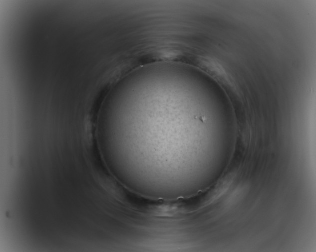 X0000089460366200706291505