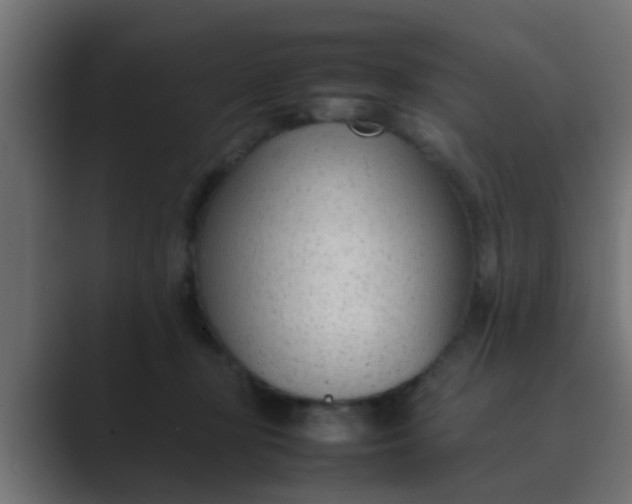 X0000089460367200706291505