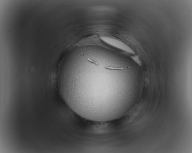 X0000089460369200706291505