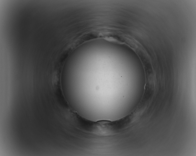 X0000089460372200706291505