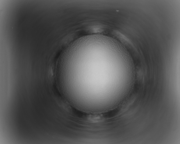 X0000089460373200706291505