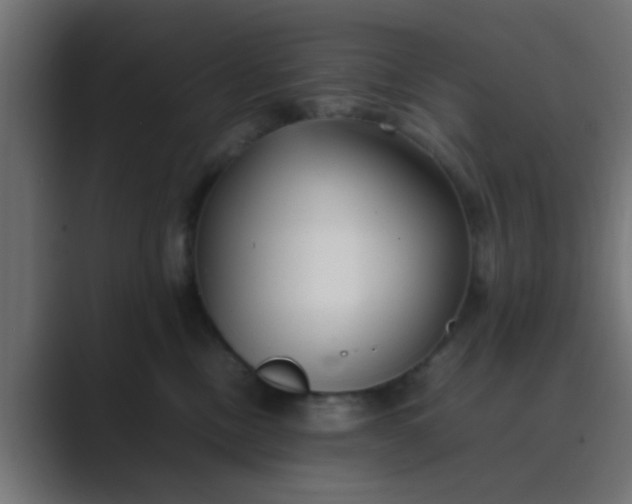 X0000089460378200706291505