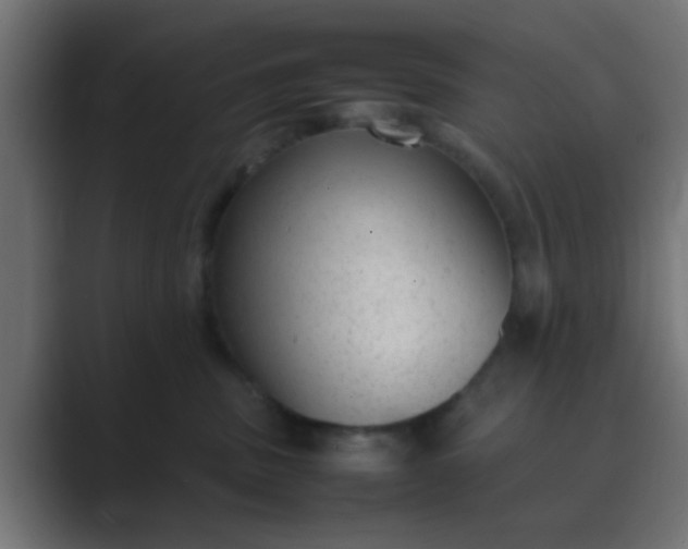 X0000089460379200706291505