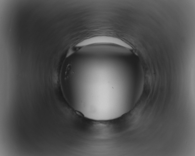 X0000089460380200706291505