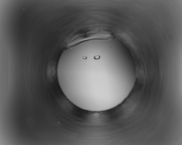 X0000089460382200706291505