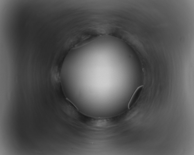 X0000089460384200706291505