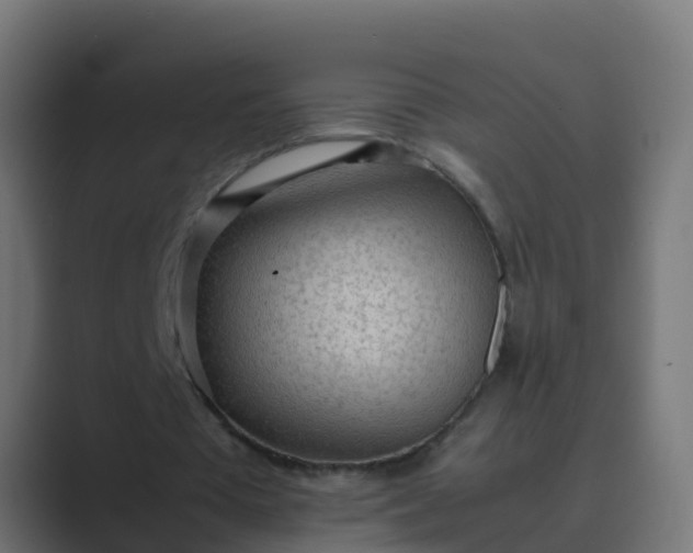 X0000089460385200706291505