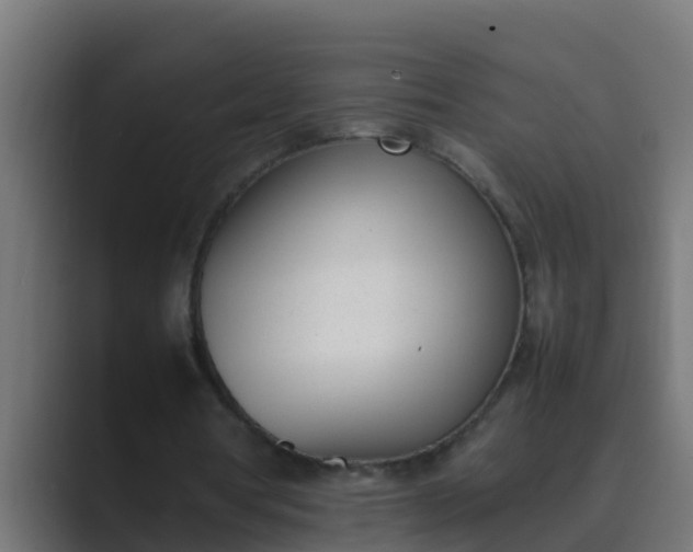 X0000089460386200706291505
