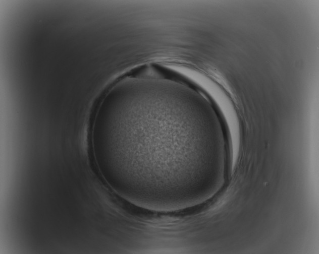 X0000089460387200706291505
