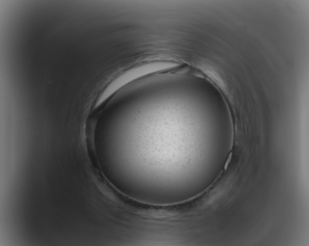 X0000089460389200706291505