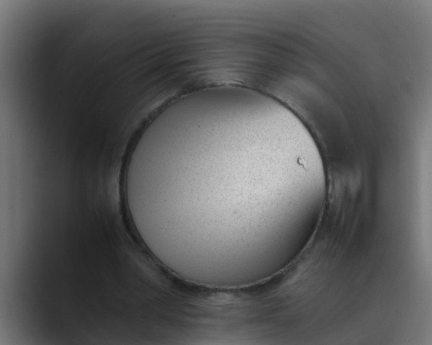X0000089460390200706291505