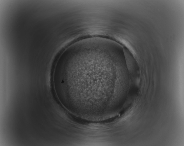 X0000089460391200706291505