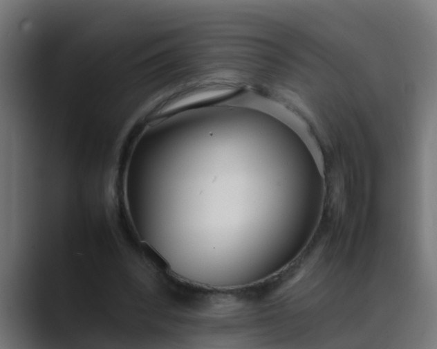 X0000089460392200706291505