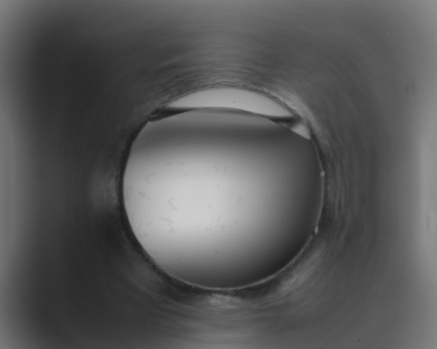 X0000089460393200706291505