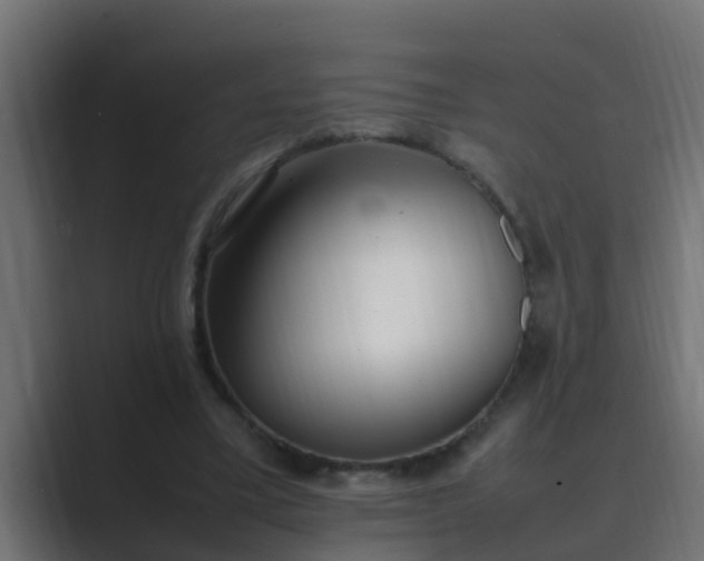 X0000089460395200706291505