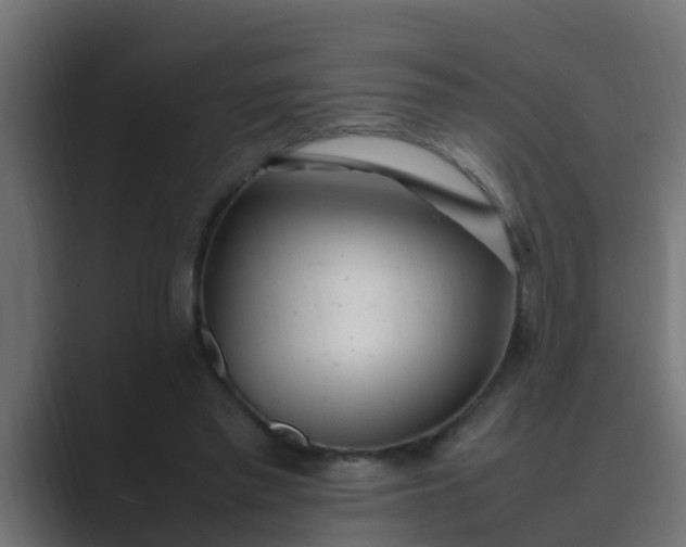 X0000089460397200706291505