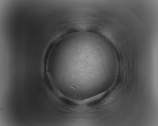 X0000089460399200706291505