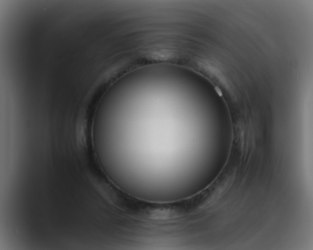 X0000089460400200706291505