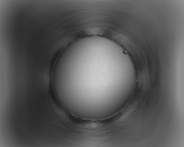 X0000089460402200706291505