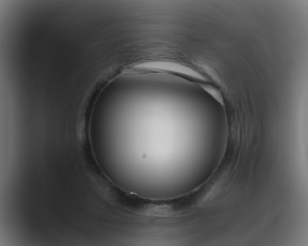 X0000089460403200706291505