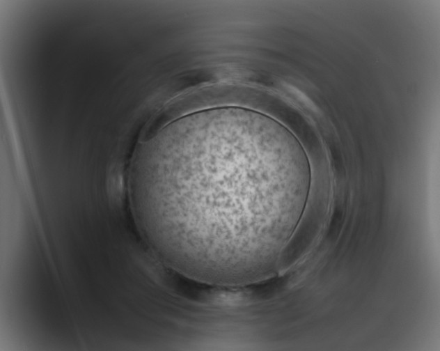 X0000089460405200706291505