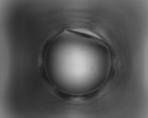 X0000089460407200706291505