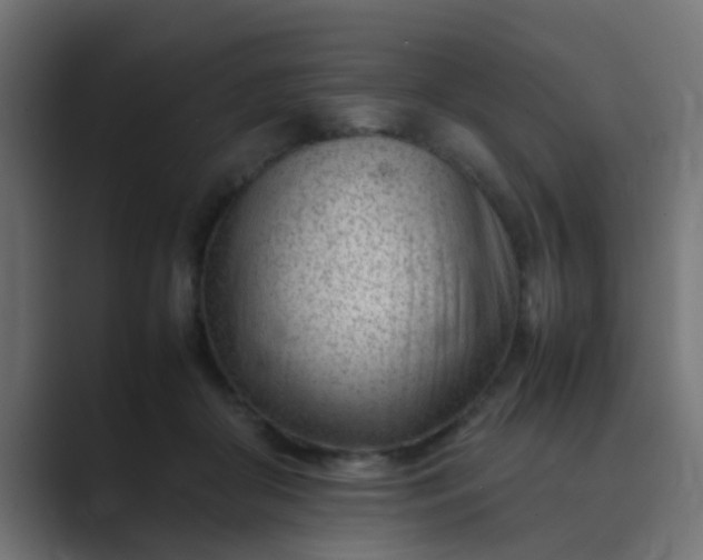 X0000089460410200706291505