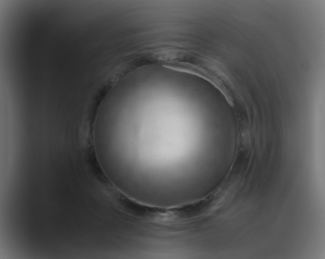 X0000089460411200706291505