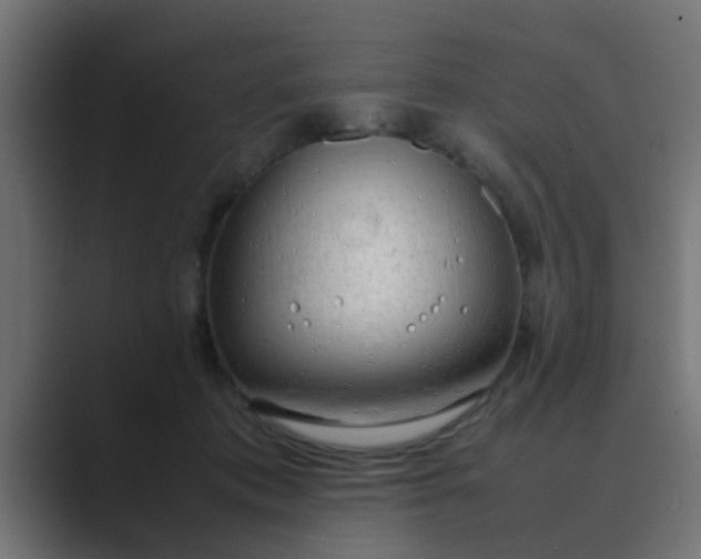 X0000089460413200706291505