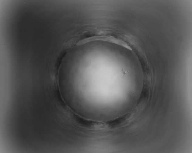 X0000089460415200706291505