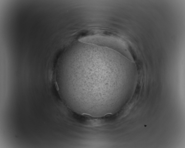 X0000089460417200706291505