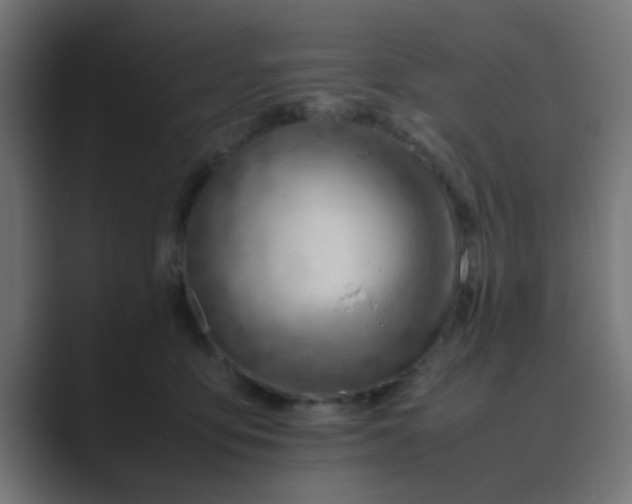 X0000089460419200706291505