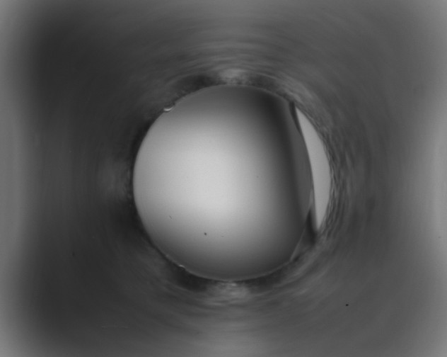 X0000089460421200706291505
