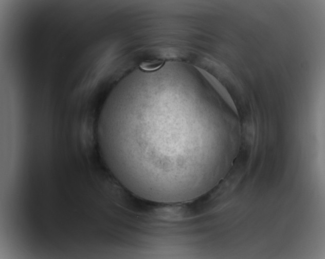 X0000089460422200706291504