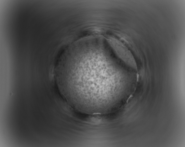 X0000089460423200706291504