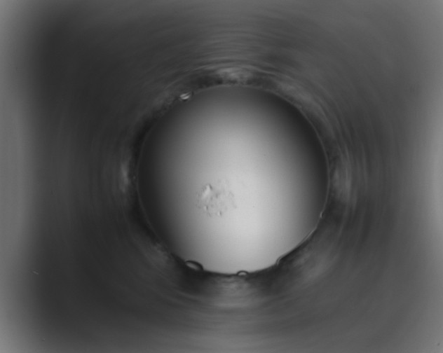 X0000089460424200706291504