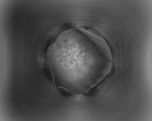 X0000089460427200706291504